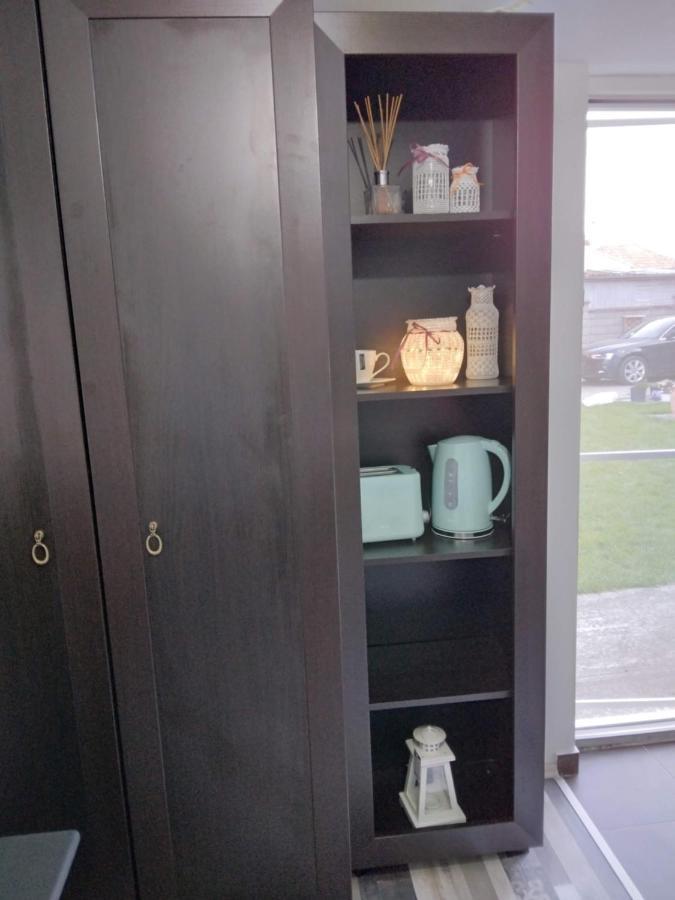 Apartament Studio Unique Timișoara Zewnętrze zdjęcie