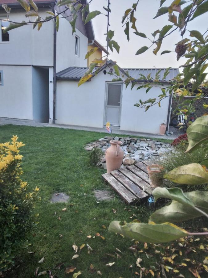 Apartament Studio Unique Timișoara Zewnętrze zdjęcie