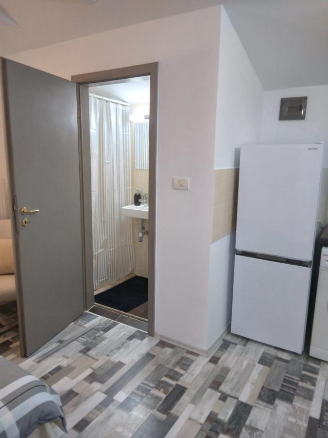Apartament Studio Unique Timișoara Zewnętrze zdjęcie
