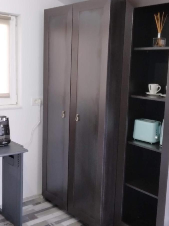 Apartament Studio Unique Timișoara Zewnętrze zdjęcie