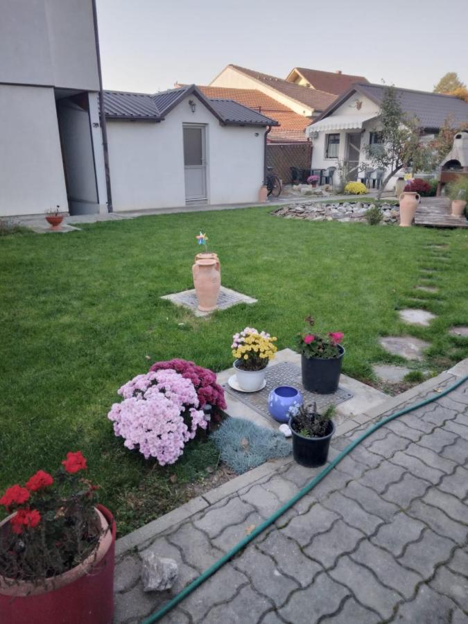 Apartament Studio Unique Timișoara Zewnętrze zdjęcie